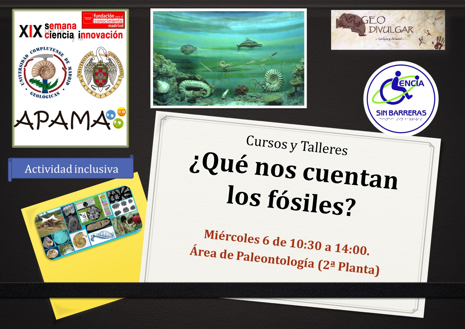 Nuevas Actividades Semana de la Ciencia 2019
